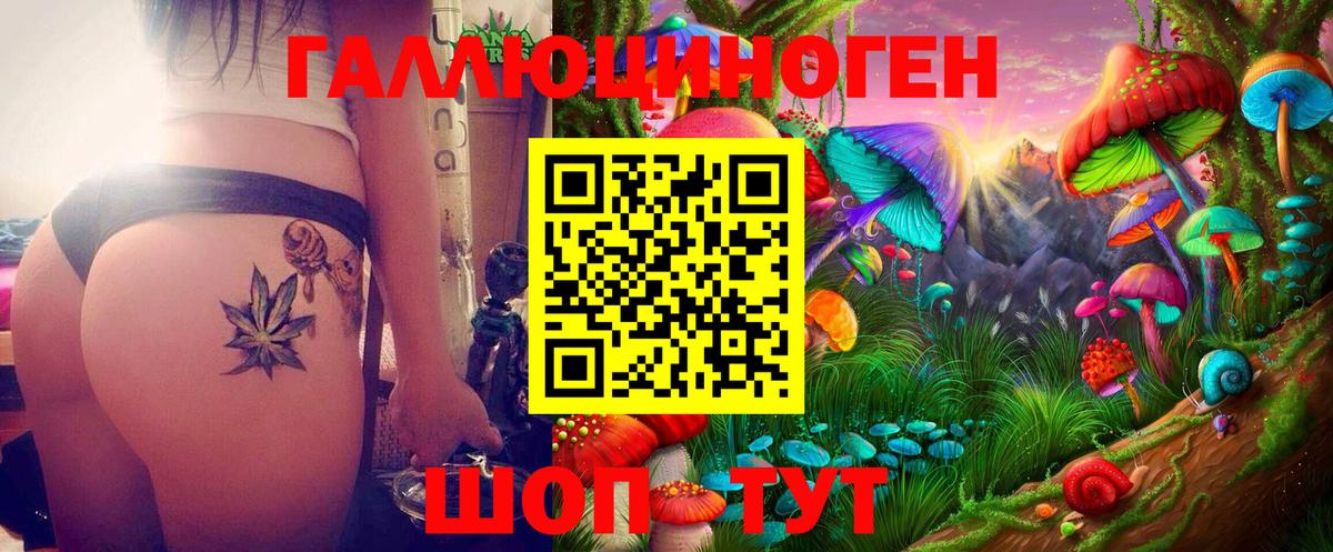 Галлюциногенные грибы прущие грибы  Псилоцибиновые грибы прущие грибы  Чита 